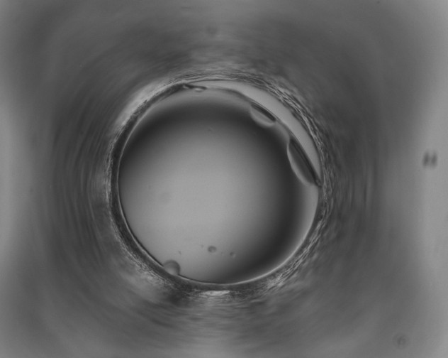 X0000091460054200708161530