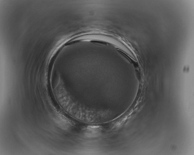 X0000091460055200708161530