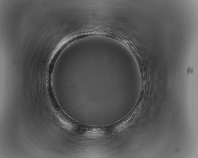 X0000091460056200708161530