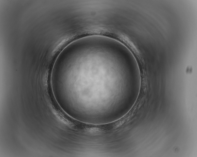X0000091460058200708161530
