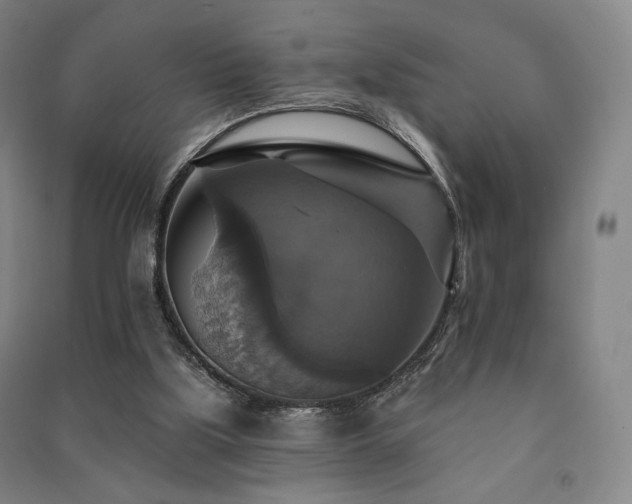 X0000091460059200708161530