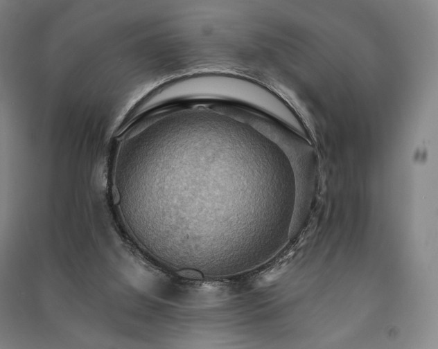 X0000091460060200708161530