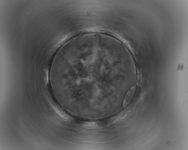 X0000091460061200708161530