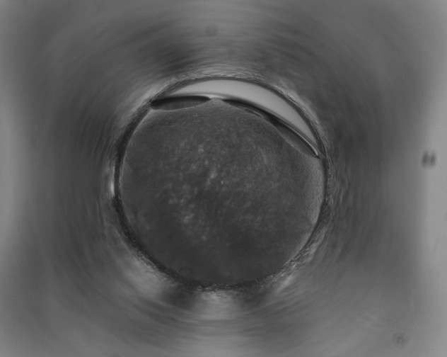 X0000091460062200708161530