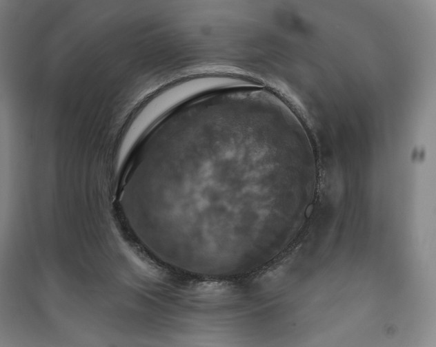 X0000091460063200708161530