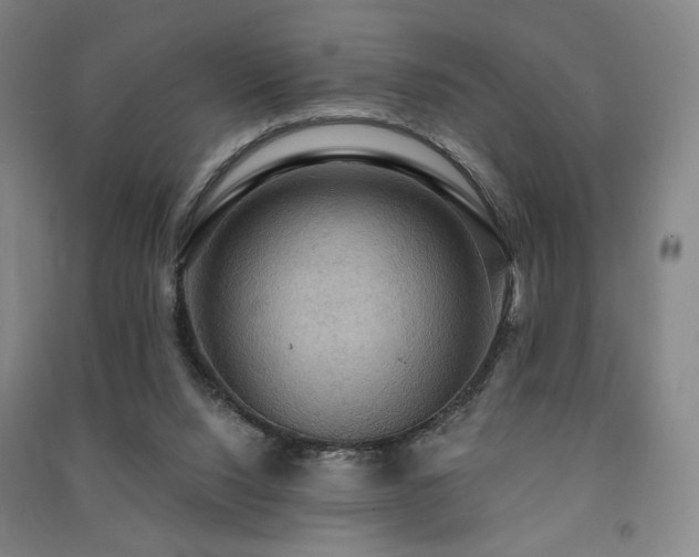 X0000091460064200708161530