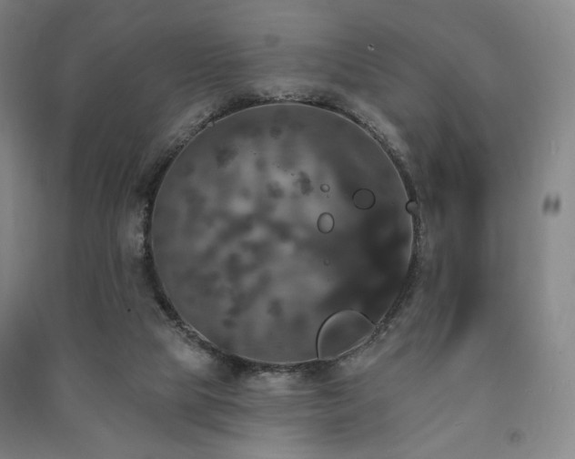 X0000091460065200708161530
