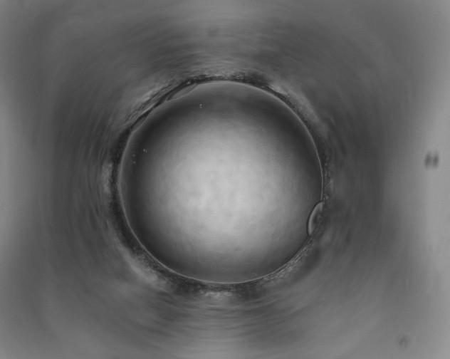 X0000091460066200708161530