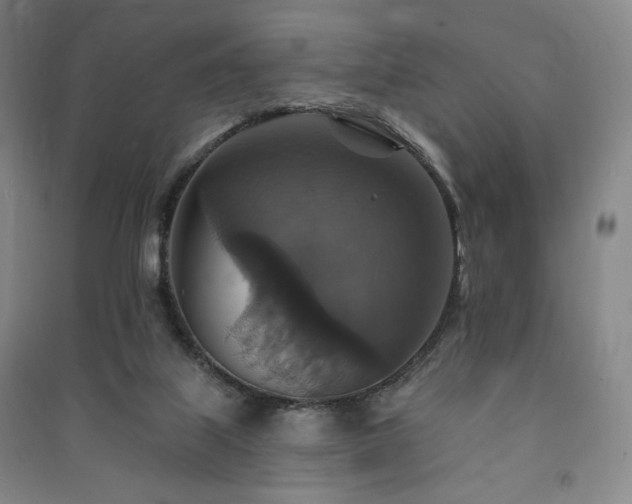 X0000091460067200708161530
