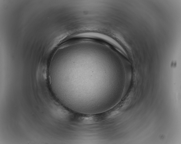 X0000091460068200708161530