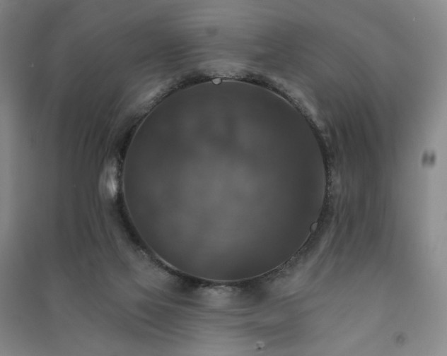 X0000091460069200708161530