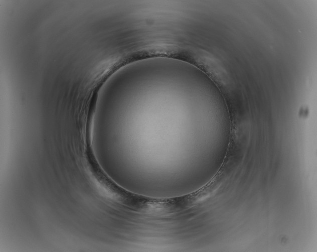 X0000091460070200708161530