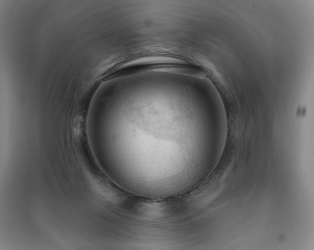 X0000091460071200708161530