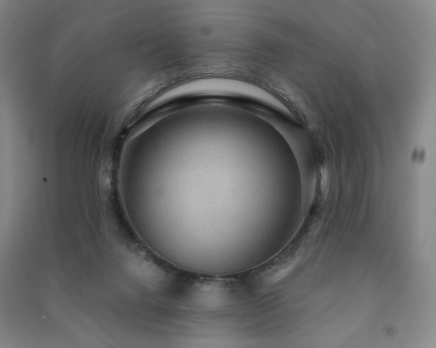 X0000091460072200708161530