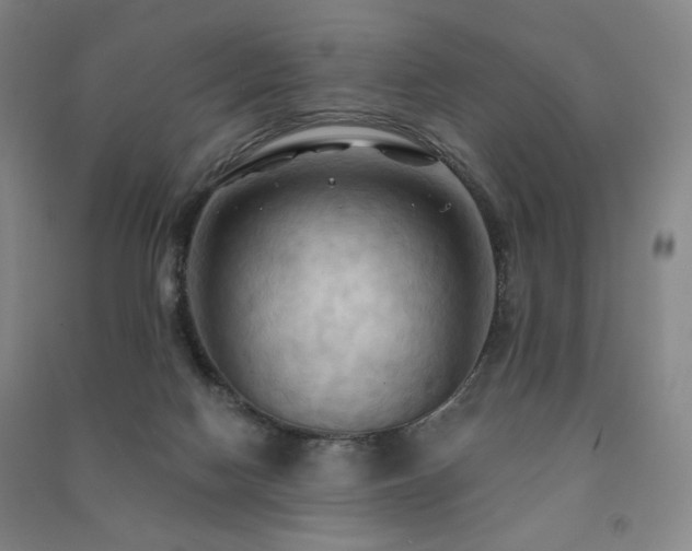 X0000091460074200708161530