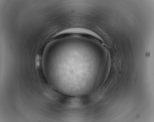 X0000091460075200708161530