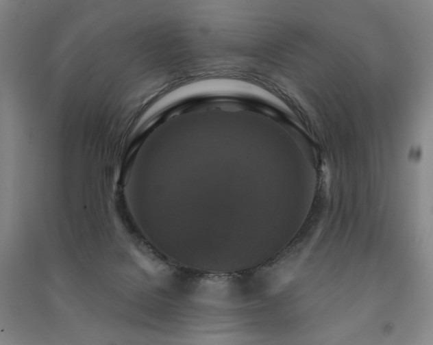 X0000091460076200708161530