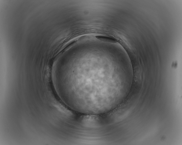 X0000091460077200708161530