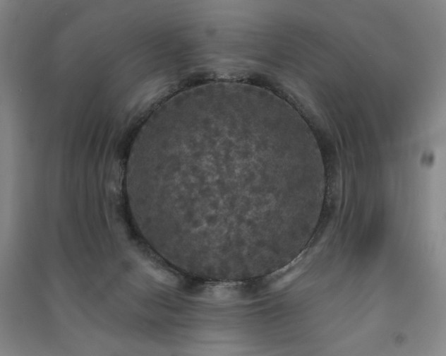 X0000091460078200708161530