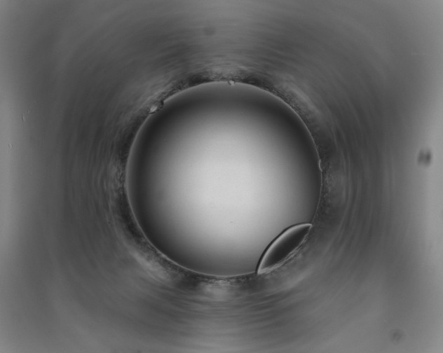 X0000091460079200708161530