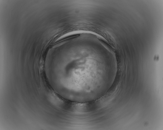 X0000091460081200708161530