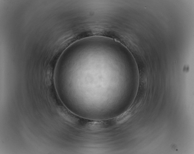X0000091460082200708161530