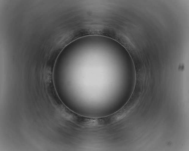 X0000091460083200708161530