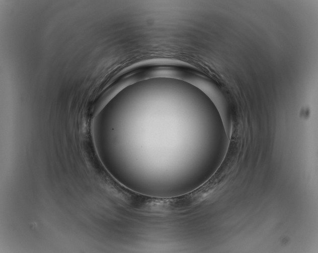 X0000091460084200708161530