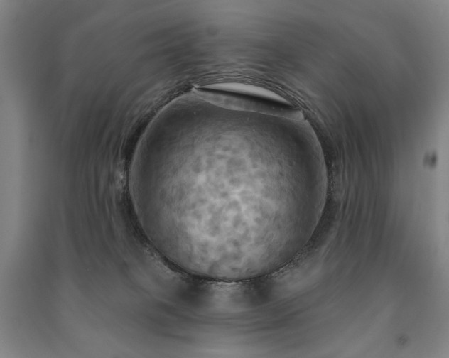 X0000091460085200708161530