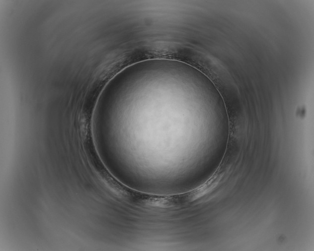 X0000091460086200708161530