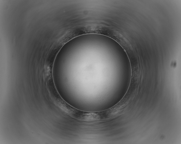 X0000091460087200708161530