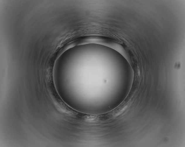 X0000091460088200708161531
