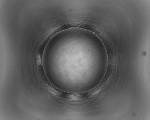 X0000091460089200708161531
