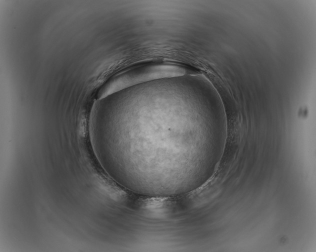 X0000091460090200708161531