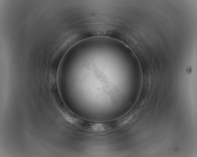 X0000091460091200708161531