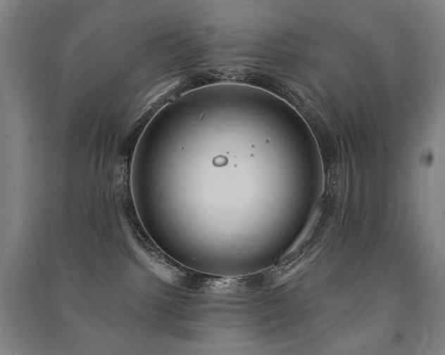 X0000091460092200708161531