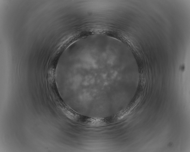 X0000091460093200708161531