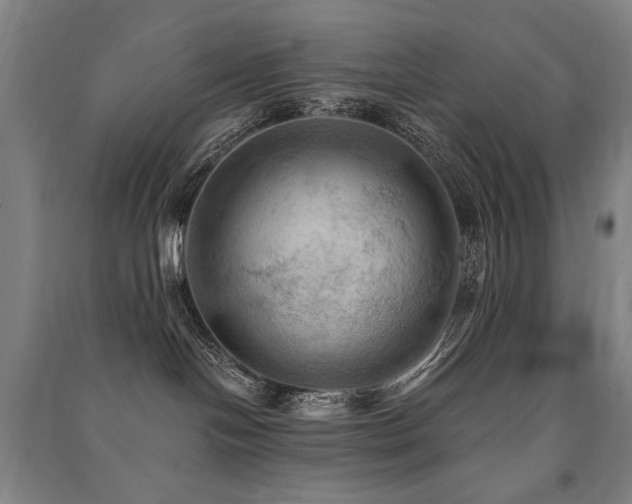 X0000091460094200708161531