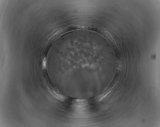 X0000091460095200708161531