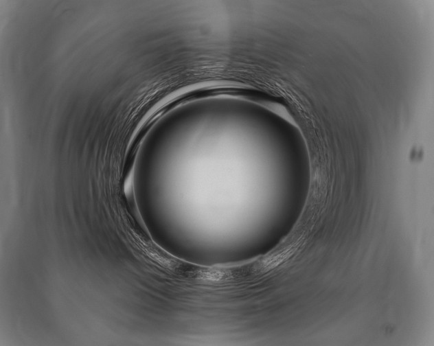 X0000091460096200708161531