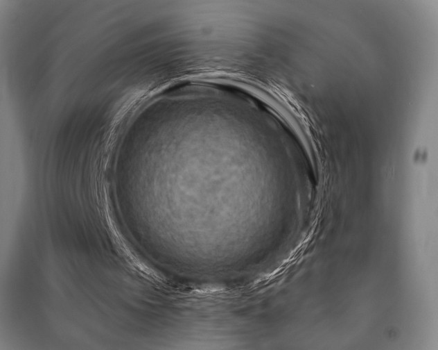 X0000091460097200708161530