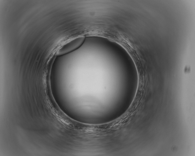 X0000091460098200708161530