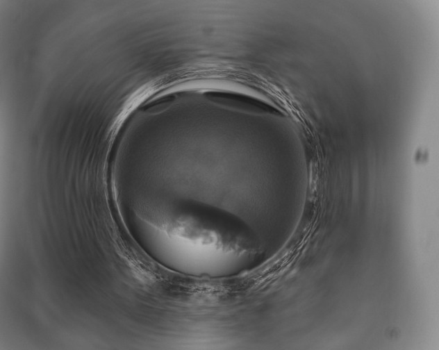 X0000091460099200708161530
