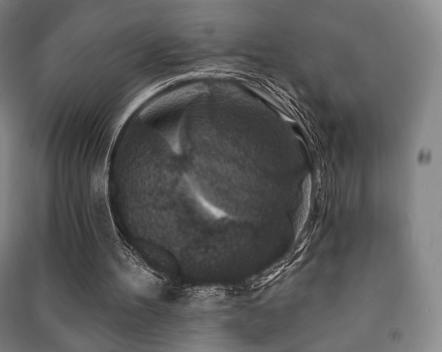 X0000091460100200708161530