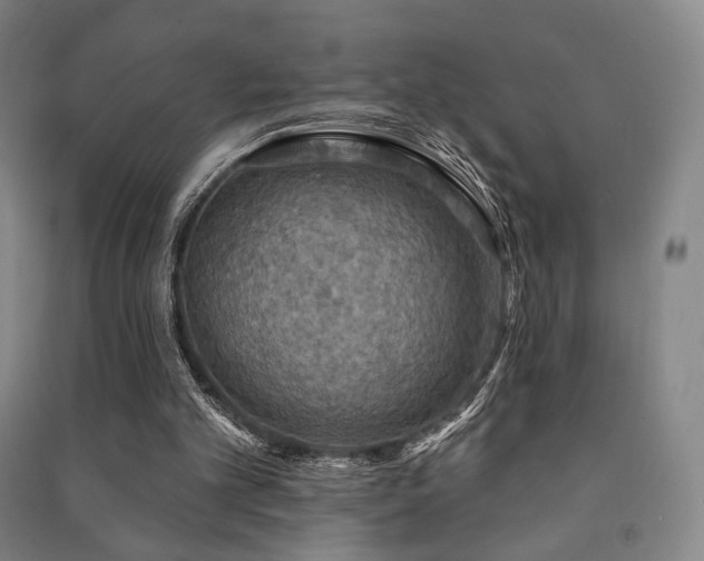 X0000091460101200708161530