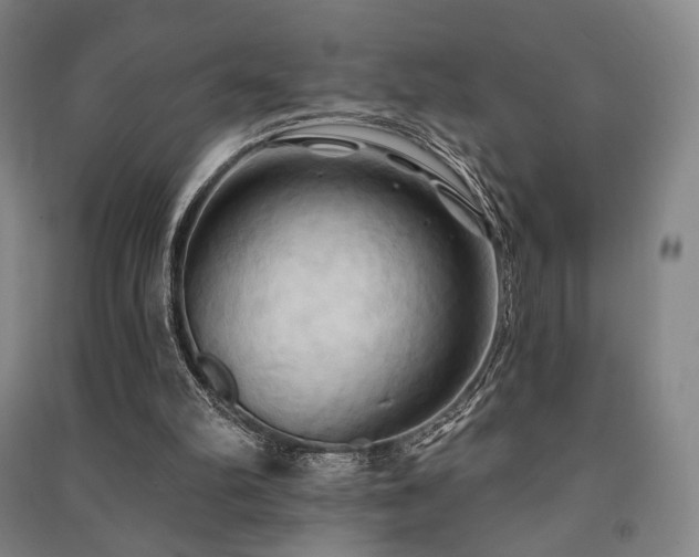 X0000091460102200708161530