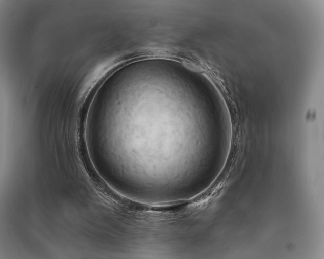 X0000091460103200708161530