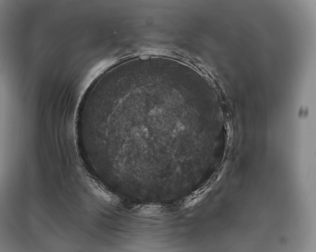 X0000091460104200708161530