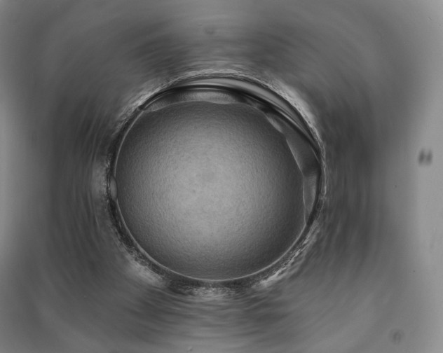 X0000091460105200708161530