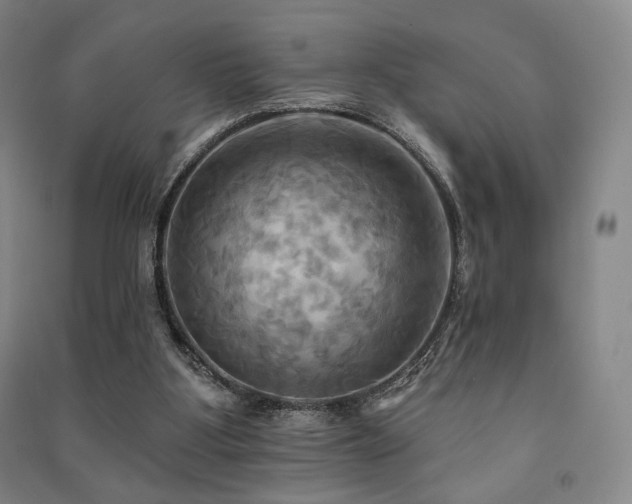 X0000091460107200708161530